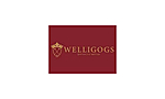 Logo of Welligogs