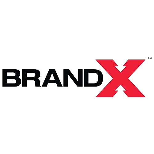 BrandX Logo